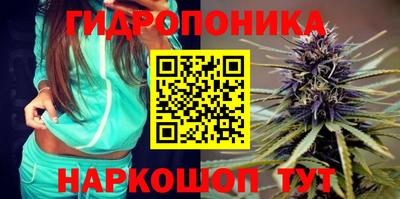 спиды Заводоуковск
