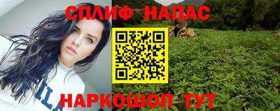 спиды Заводоуковск