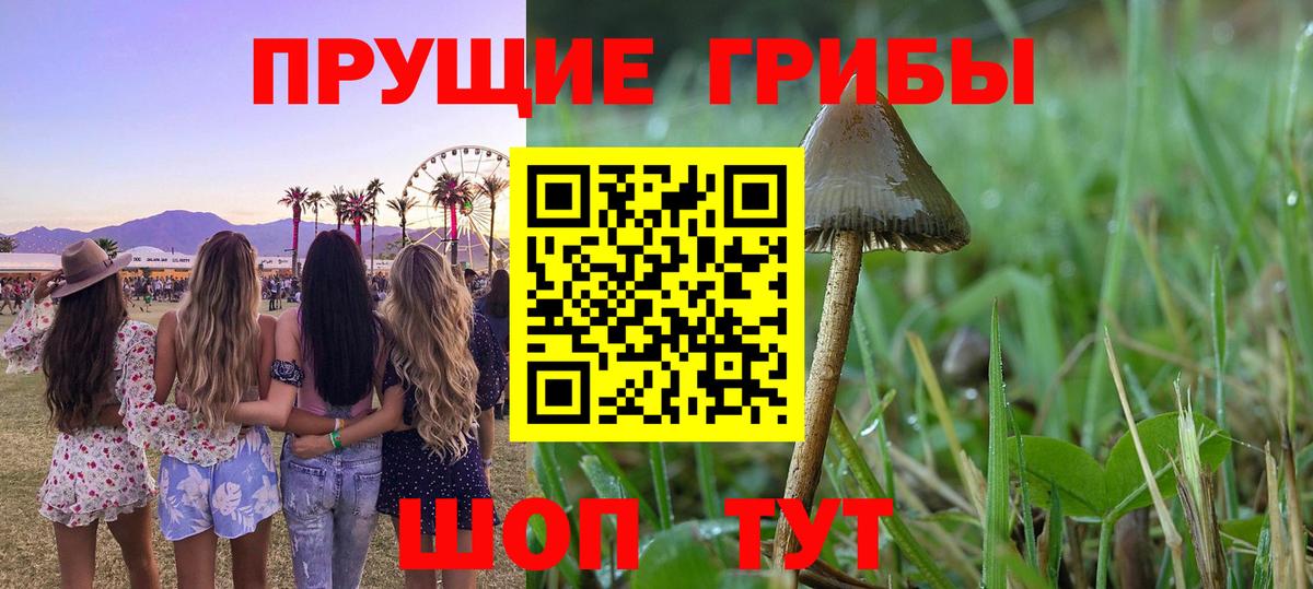 Псилоцибиновые грибы мицелий Еманжелинск