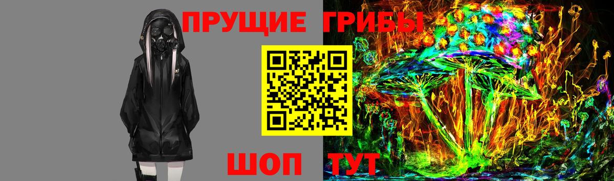 Еманжелинск  Псилоцибиновые грибы ЛСД  Вход с VPN  Галлюциногенные грибы Psilocybe 